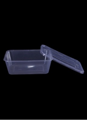 Elite Rectangle container 500-grams pack of 10