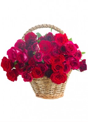 Red Roses Bucket